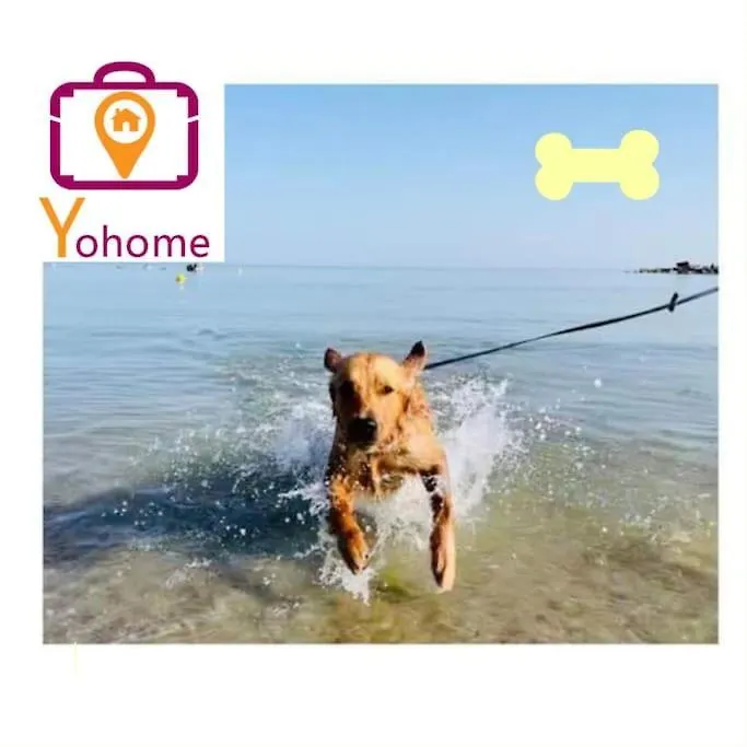 Pascoli Home A Cattolica Centro Mare By Yohome Italy